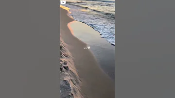 عشاق البحر اغاني Song Follow اجنبي حب Sad Sea بحر 