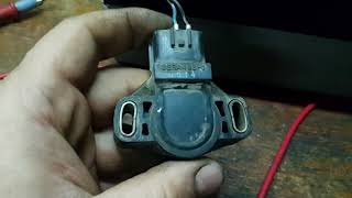 :   Nissan Primera