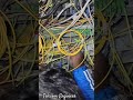 Risky 😱🤯 too much congested site, alcatel 1642 mux Fault #internet #networking #telecomengineering