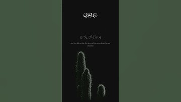 #quran #قرآن #بدر_التركي #سورة_الأحزاب