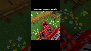 Minecraft 1000 Tick Rate Moment