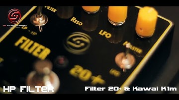 Filter 20+ Analog Boutique Handmade LP and HP Filter with LFO  by TSL Studio Equipment