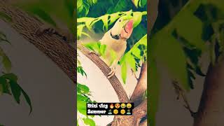 #nonstoptalkingparrot #parrot #talkingparot #funny #comedy #cute #birds
