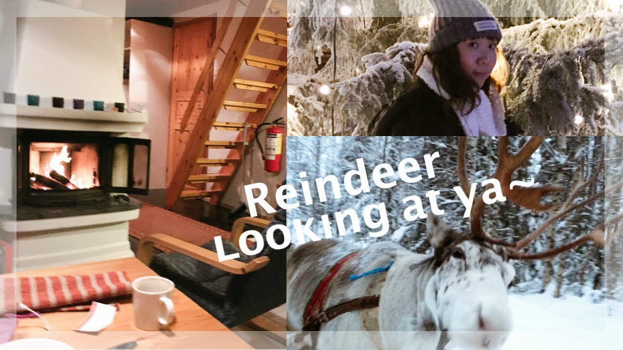 REINDEER LOOKING AT YOU! | Lapland Adventure Part 3