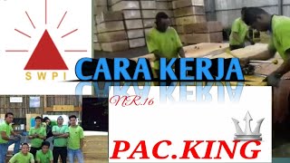 Cara kerja packing plywood!!! PT. SWPI dawai camp