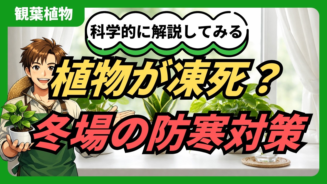 【植物の冬越し】枯らす原因はこれ！プロが教える最強の防寒術 #観葉植物 #園芸 #冬の管理 #多肉植物 #ガーデニング