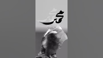 صلوا على النبي المصطفى ❤️ القارئ شريف مصطفى حالات واتس اب قران @SherifMostafaofficial