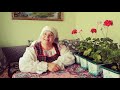 Онлайн-экскурсия «Герань – любимейший цветок русской горницы»