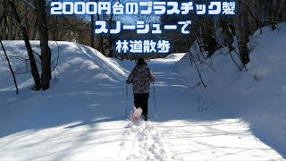 ＃北海道#スノーシュー＃散歩　2000円台のスノーシューで林道散歩してみたら意外とイケた