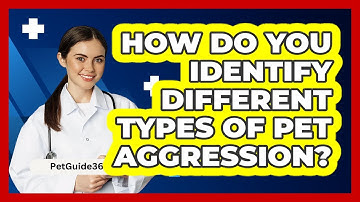 How Do You Identify Different Types Of Pet Aggression? - PetGuide360.com