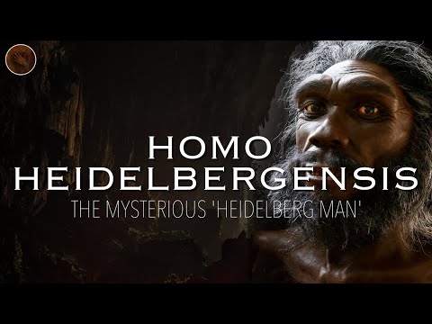 Homo Heidelbergensis: The Mysterious 'Heidelberg Man' | Prehistoric Humans Documentary