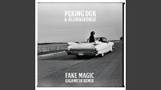 Fake Magic (Gigamesh Remix)