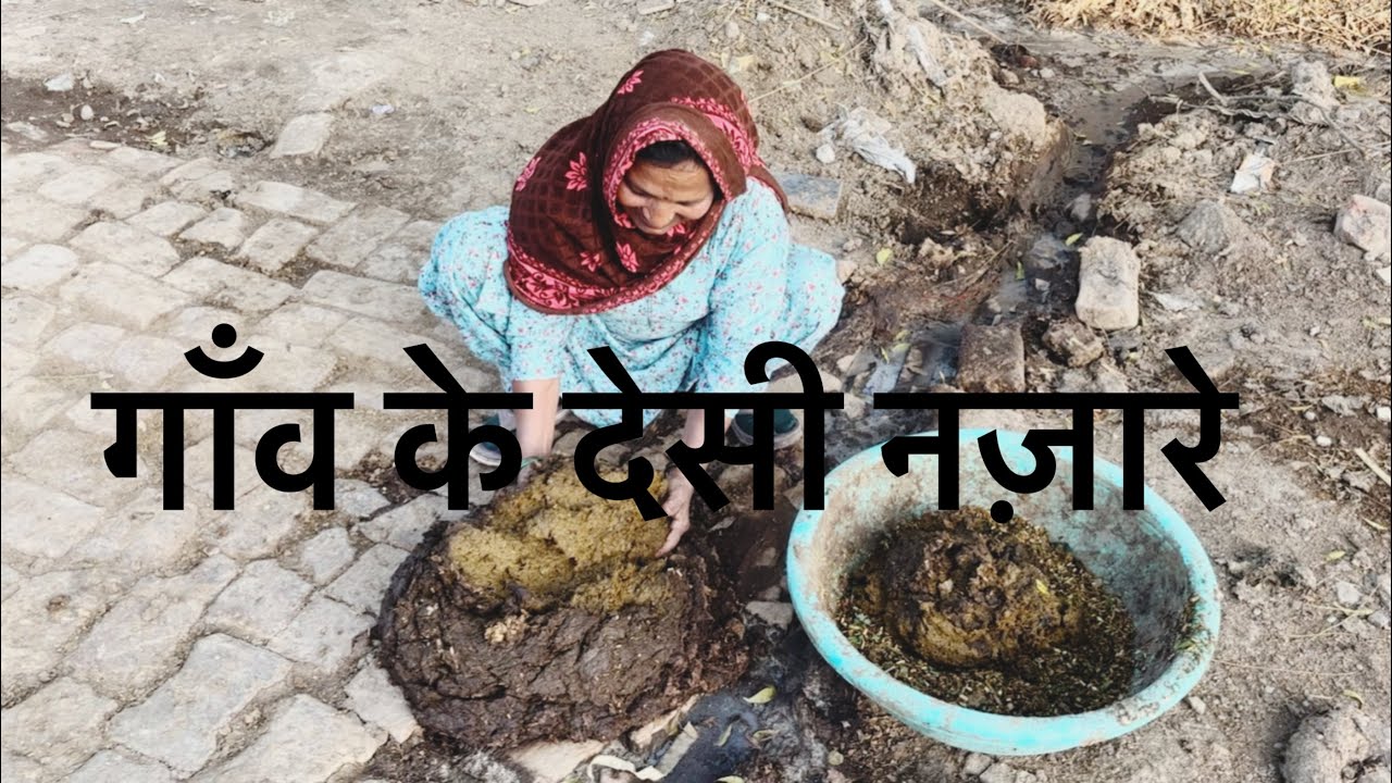 ॥ गाँव के देसी नज़ारे ॥ Sapna ॥ 