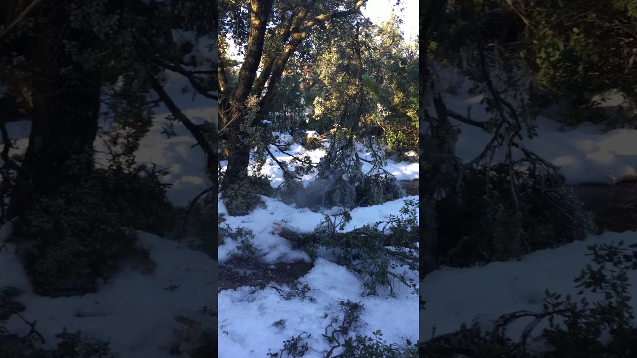 Water leak still not repaired / La fuga de agua aún no se repara