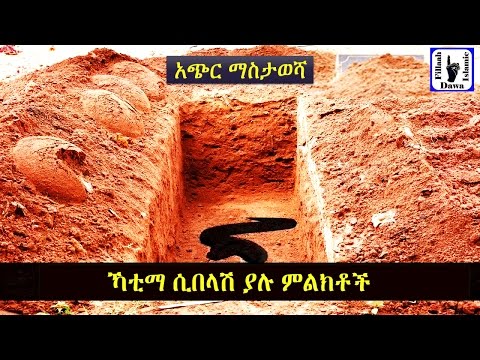 ቪዲዮ: የቻይና ከተማ የአንድ-ውሻ ፖሊሲ ተግባራዊ በማድረግ 40 ዝርያዎችን አግዷል