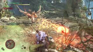 Monster hunter wilds day 2