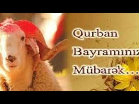 🐏QURBAN BAYRAMI🐏2020/Whatsapp status video