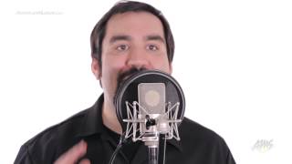 Neumann TLM 103 Vocal Condenser Microphone - Neumann TLM103