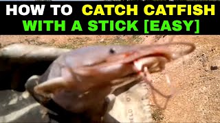 How to fish for catfish | Catching catfish in a pond