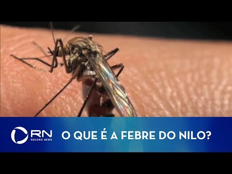 Vídeo: Temporada De Mosquitos E Vírus Do Nilo Ocidental Em Cavalos