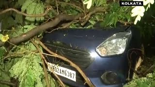 Heavy rains lash Kolkata as it reels under Cyclone Mocha aftermath; trees uprooted, vehicles damaged