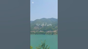 قرآن يريح السامع #قرآن #المصحف #تلاوة #الرحمن #قرآن_كريم #راحة_نفسية #اكسبلور