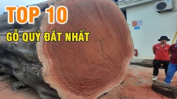 Top 10 Loại Gỗ Quý Hiếm Đắt Đỏ Nhất Thế Giới Khiến Đại Gia Cháy Túi