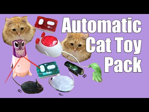 Automatic Cat Toy