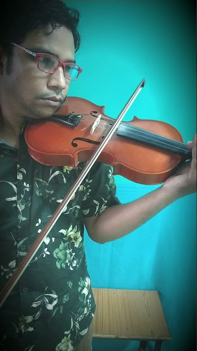 do pal ka khwabo ka karwa from movie veer zara violin part