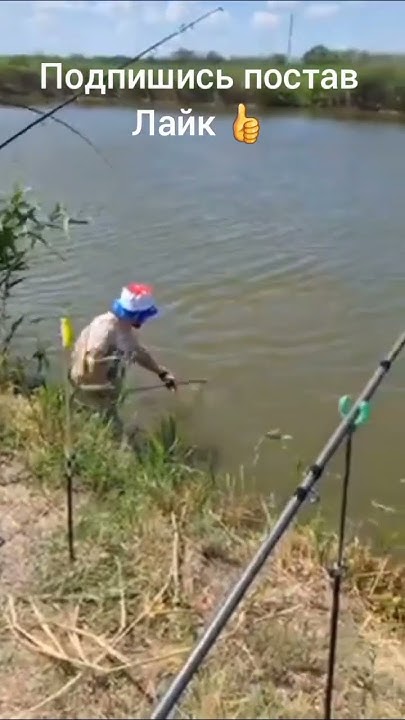 хороший толстолоб 👍 - YouTube