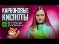 Карбоновые кислоты: от строения до получения [24] Органика С НУЛЯ | Химия для 10 класса и ЕГЭ-2025