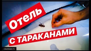 ОБЗОР НОМЕРА С БОЛЬШИМИ РЫЖЫМИ ТАРАКАНАМИ! ОБЗОР НОМЕРА С БОЛЬШИМИ РЫЖЫМИ ТАРАКАНАМИ!