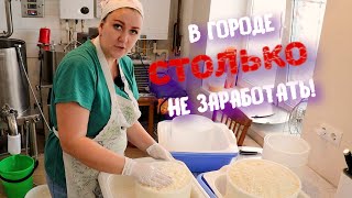 БИЗНЕС НА КОРОВАХ. ПОСЧИТАЛА ПРИБЫЛЬ ЗА ГОД!