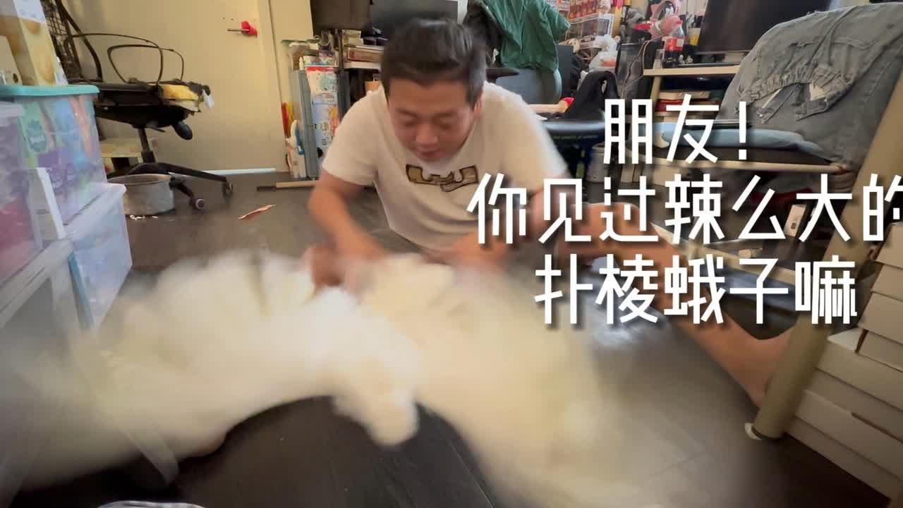 【拍拿放】挑战 不圆满完成啦 - YouTube