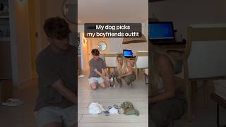 my DOG picked my boyfriends outfit..