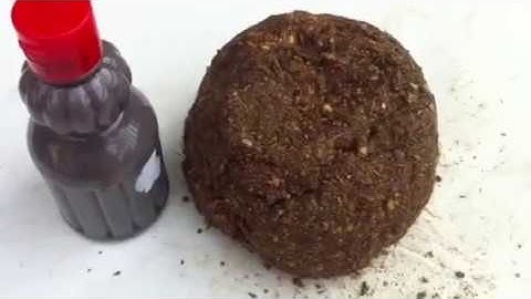 DIY - How To Make Tilapia Chum Bait(1)Touch Fishing Tips - Cách Làm Mồi Câu Chạm Rô Phi