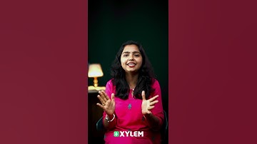 The Leaf Too Has To Say - ഇലയ്ക്കുമുണ്ട് പറയാൻ - Part 2 | Xylem Class 4