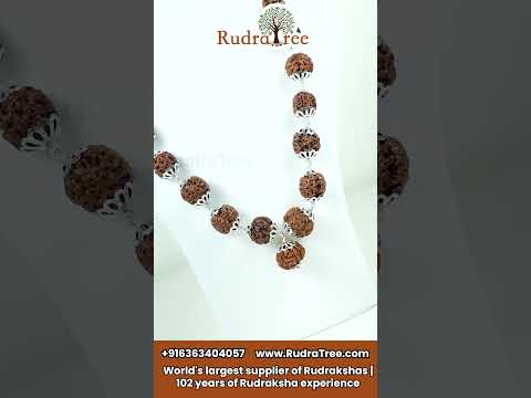 3 Mukhi Kanta Mala | RudraTree Rudraksha and Gemstones