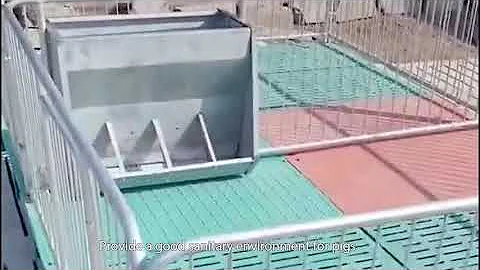 Single-Size Pens/Farrowing Crates/Flooring System For Pig Farm Equipment