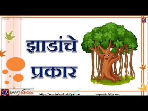 झाडे आणि त्यांचे प्रकार |झाडांचे प्रकार |Types of trees in Marathi by Smart School |Zadanche prakar