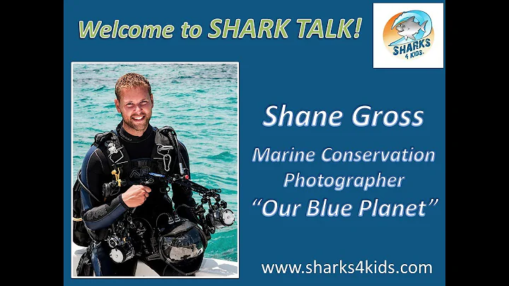 Shane Gross (Marine Conservation Photographer)
