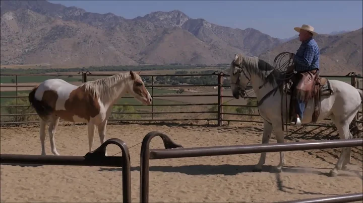 Roping Larry, Part 1