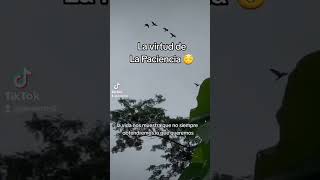 Como sirve la paciencia
