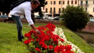 MARCO & IL CLAN - ROSSE ROSE (VIDEO UFFICIALE) chords