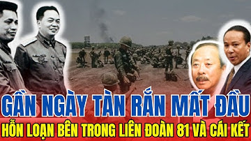 CON RẮN MẤT ĐẦU: HỖN LOẠN BÊN TRONG LIÊN ĐOÀN 81 BIỆT CÁCH DÙ VÀ CÁI KẾT | LỊCH SỬ TINH HOA