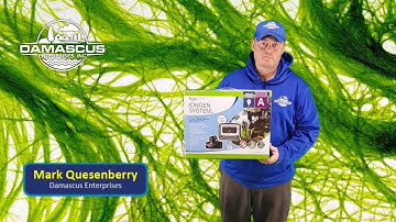 String Algae Problem? We have the solution!