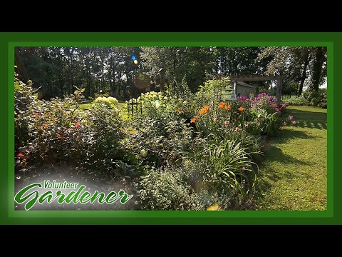 Vídeo: Tècniques de jardineria avançades: consells per al jardiner de segon any