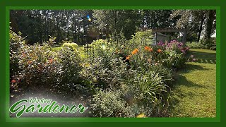 A Landscape with Visual Impact | Volunteer Gardener