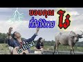 ขอบคุณที่ทำให้หายโง่ คอร์ด