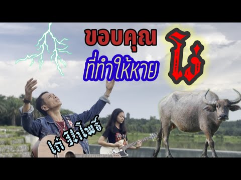 ขอบคุณที่ทำให้หายโง่/ เก๋ นาโพธิ์